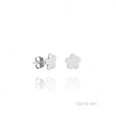 Boucles d'oreilles en Argent