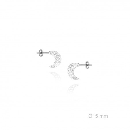 Boucles d'oreilles en Argent