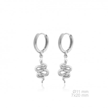 Silver Earrings
