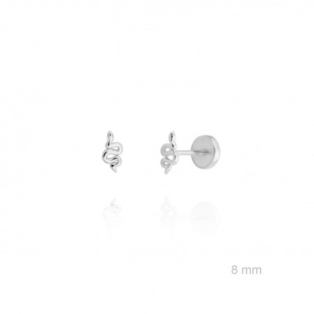 Boucles d'oreilles en Argent