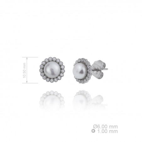 Silver Earrings with Cubir Zirconium 