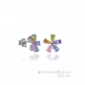 Boucles d'oreilles en Argent