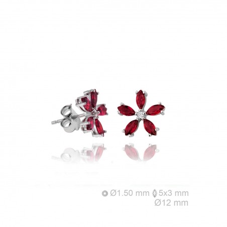 Boucles d'oreilles en Argent