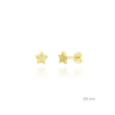Silver Earrings with Cubir Zirconium