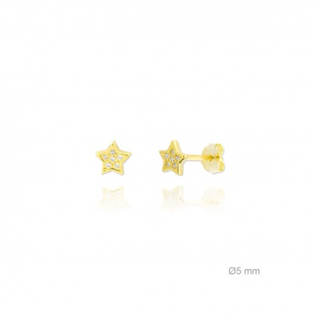 Silver Earrings with Cubir Zirconium