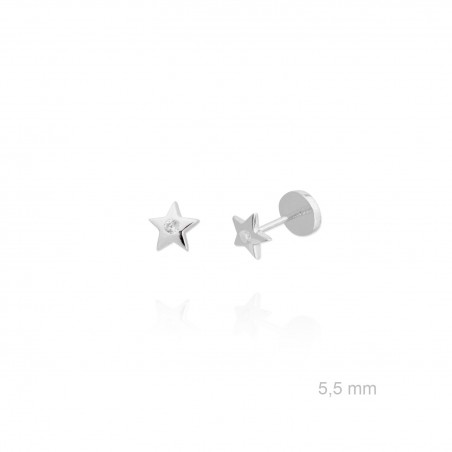 Boucles d'oreilles en Argent