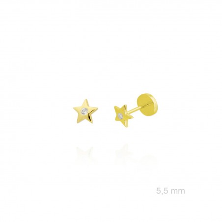 Brincos de Prata Esterlina e Zircônia