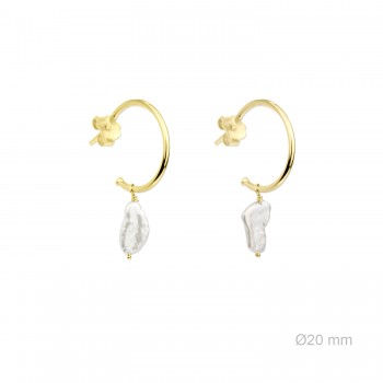 Boucles d'oreilles en Argent