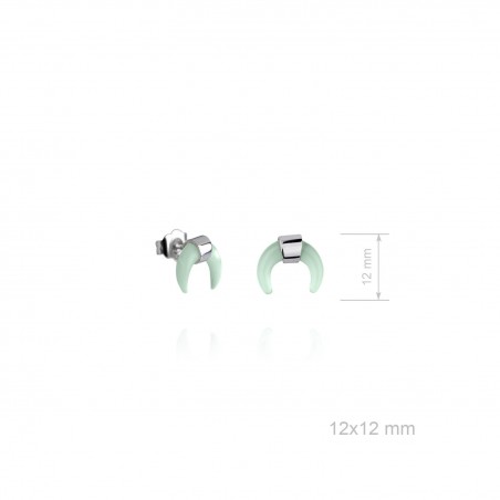 Boucles d'oreilles en Argent