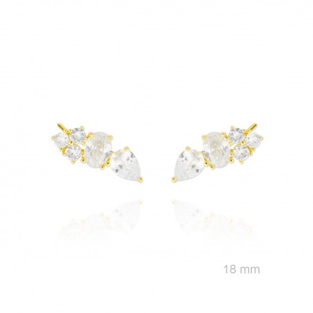 Trepador de Plata de Ley