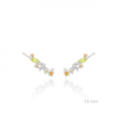 Grimpeurs d'oreille en Argent