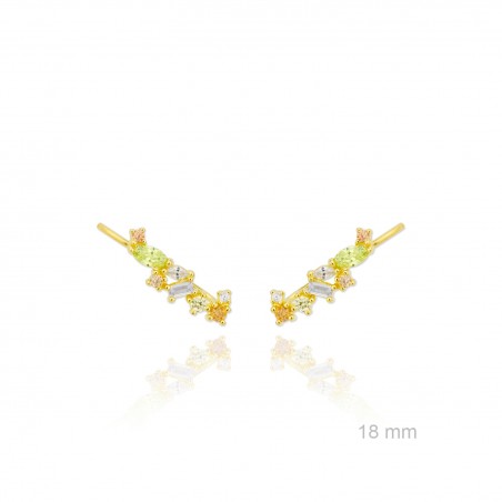 Grimpeurs d'oreille en Argent