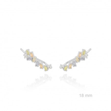 Grimpeurs d'oreille en Argent