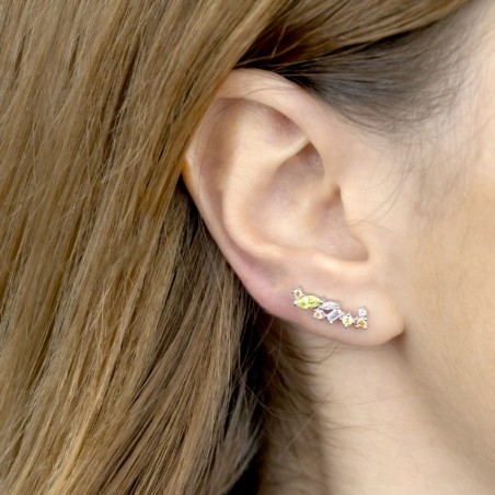 Silver Ear Climbers