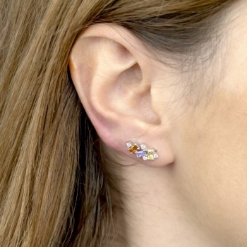 Trepador de Plata de Ley 2