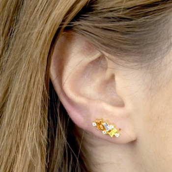 Silver Ear Climbers 2