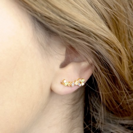 Grimpeurs d'oreille en Argent