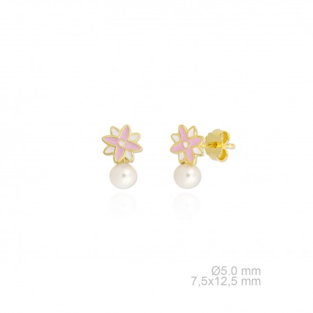 Boucles d'oreilles en argent