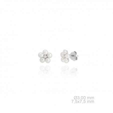 Boucles d'oreilles argent