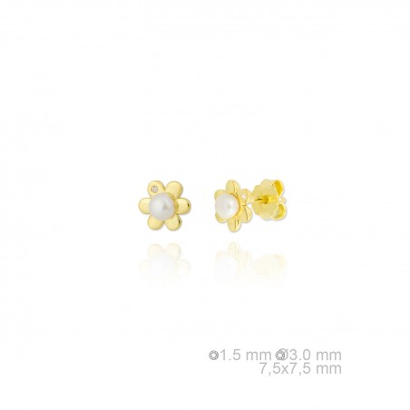 Boucles d'oreilles en argent