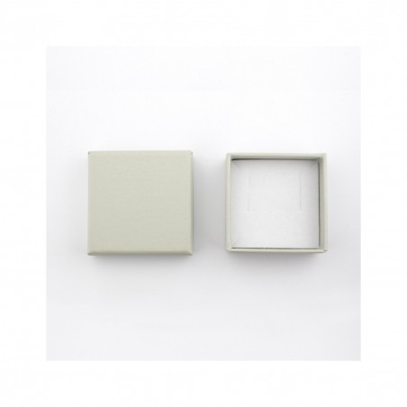 Pendientes de Plata de Ley 