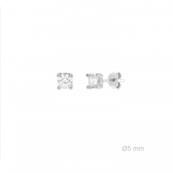 Pendientes de Plata de Ley...