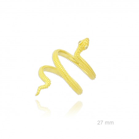 Bague en Argent