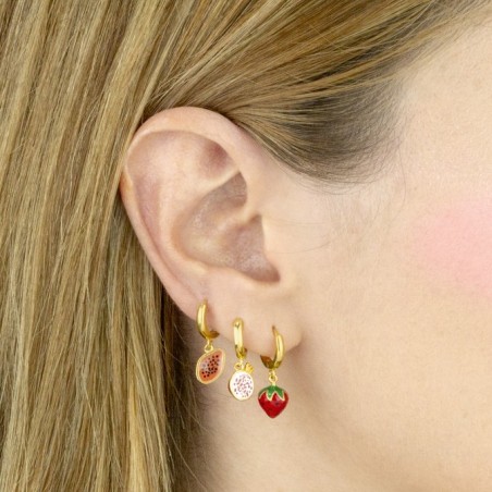 Boucles d'oreilles en Argent