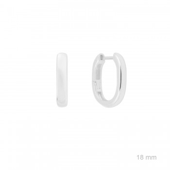 Silver earrings