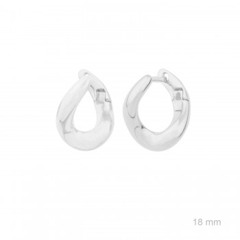 Silver earrings