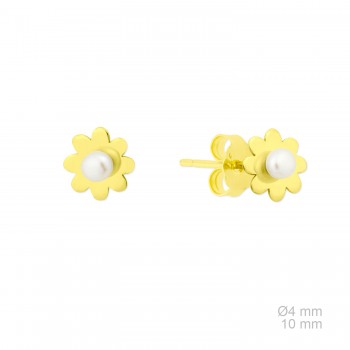 Pendientes de Plata de Ley 