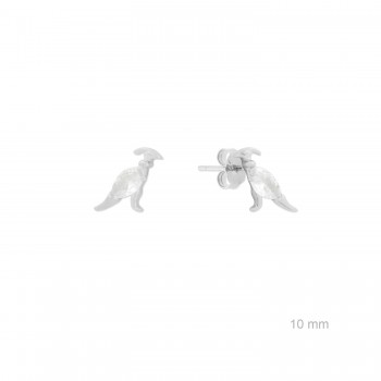 Silver earrings with cubic...