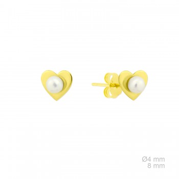 Boucles d'oreilles en Argent
