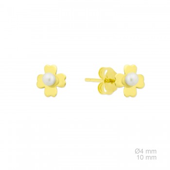 Pendientes de Plata de Ley 