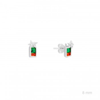 Pendientes de Plata de Ley...