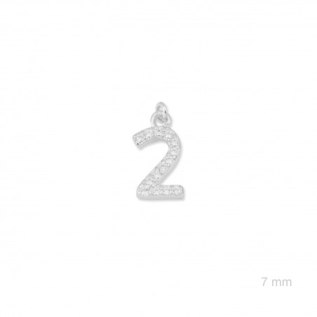 Charm de Plata de Ley (Número 2)