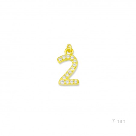 Charm de Plata de Ley (Número 2)