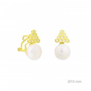 Silver Earrings