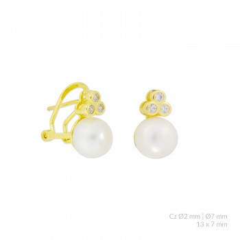 Boucles d'oreilles en Argent