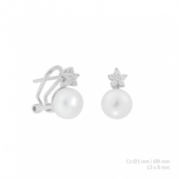Silver Earrings