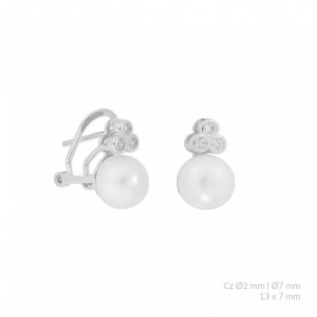Silver Earrings