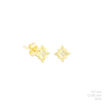 Gold earrings