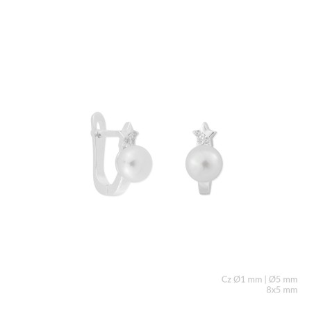 Brincos de Prata Esterlina com zircônia