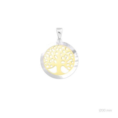 Pendentifs en Argent