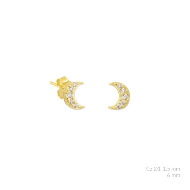 Pendientes de Plata de Ley con circonitas