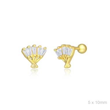 Earrings Piercings