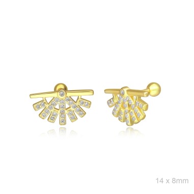 Earrings Piercings