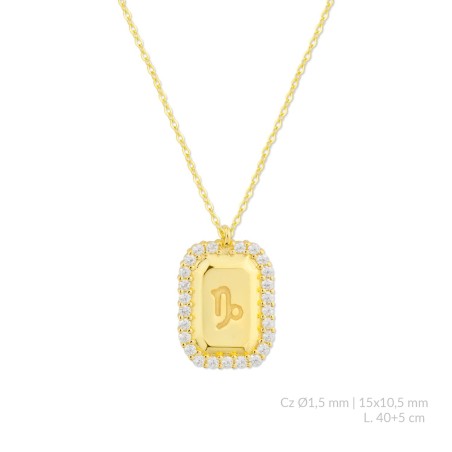 Gargantilha em Prata Esterlina com zircônia | Capricórnio