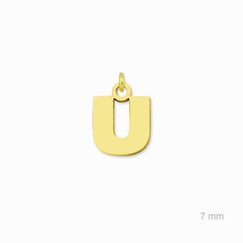 Charm de Plata de Ley... 2