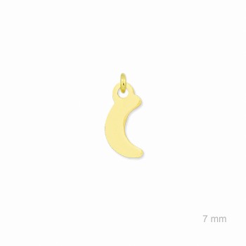 Charm de Plata de Ley (Luna) 2